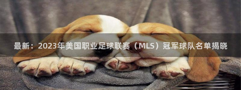 君临国际官网链接：最新：2023年美国职业足球联赛（MLS）冠军球队名单揭晓