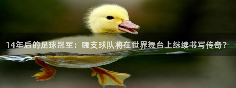 君临国际注册：14年后的足球冠军：哪支球队将在世界舞台上继续书写传奇？